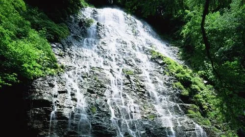 稳定性高性能
